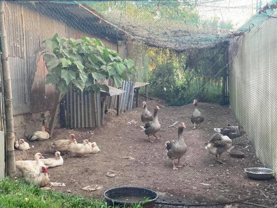 Ataalaya Farmhouse Μπατάνγκας Εξωτερικό φωτογραφία