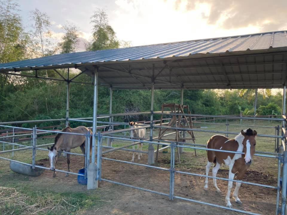Ataalaya Farmhouse Μπατάνγκας Εξωτερικό φωτογραφία