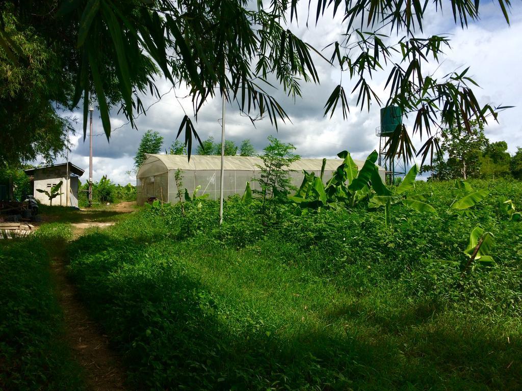 Ataalaya Farmhouse Μπατάνγκας Εξωτερικό φωτογραφία